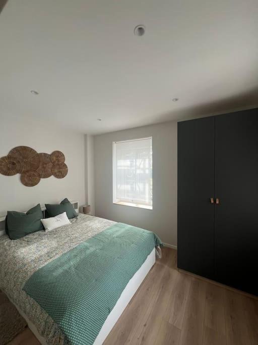Colmar Centre - Le Schickele Apartment Екстериор снимка