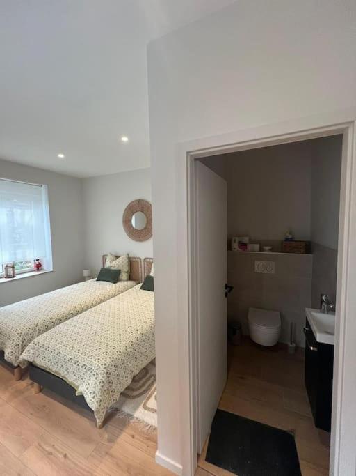 Colmar Centre - Le Schickele Apartment Екстериор снимка