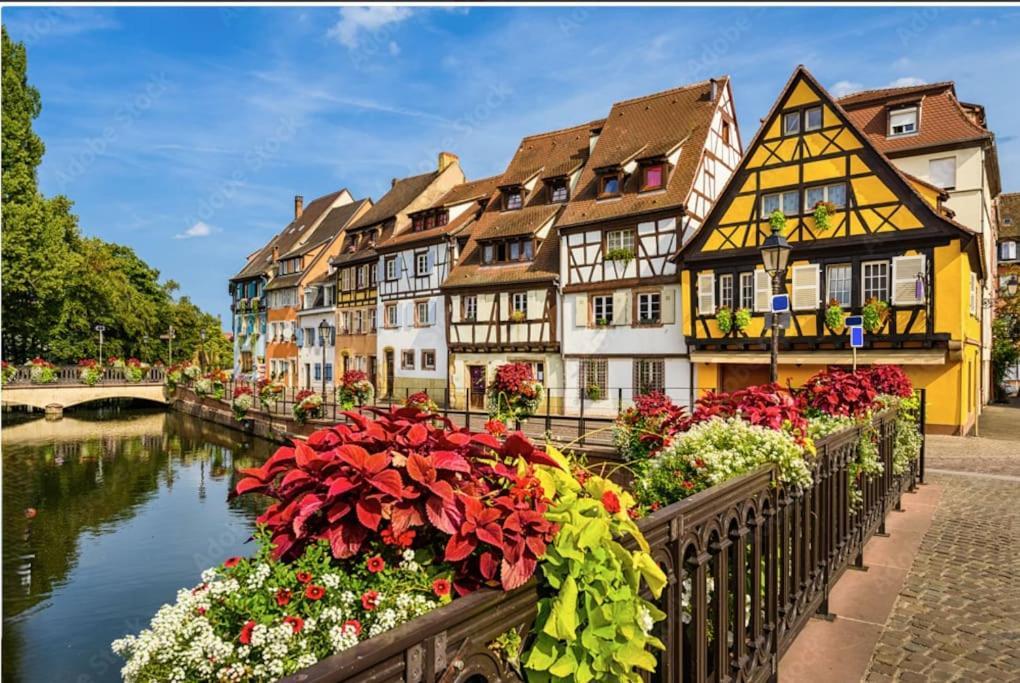 Colmar Centre - Le Schickele Apartment Екстериор снимка
